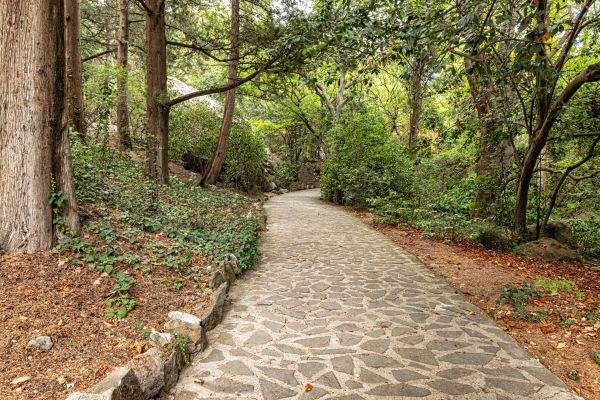Stone Walkway Repair in Evergreen