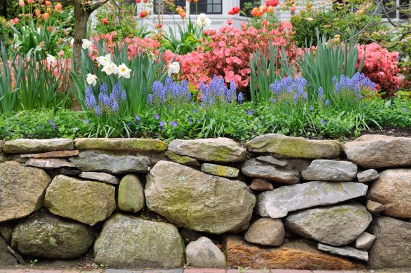 Stone Wall Hardscaping in Evergreen
