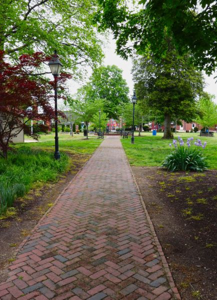 Brick Pathway Repair in Evergreen
