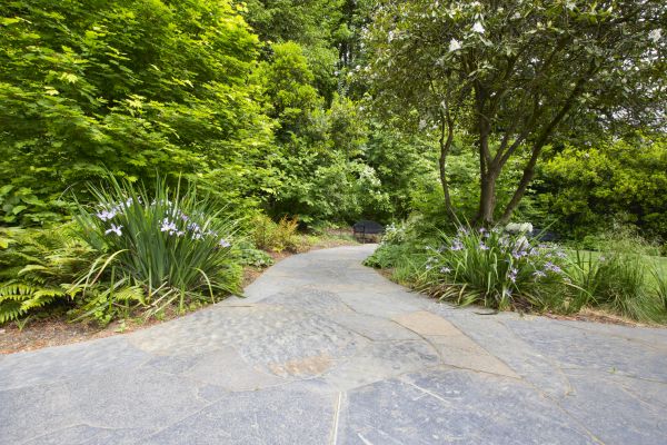 Stone Hardscape Service in Evergreen