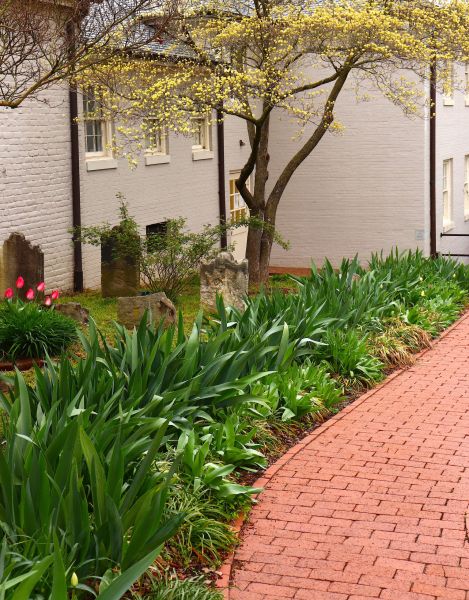 Brick Flatwork Repair in Evergreen